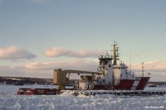 Thumbnail Image for Earl Grey