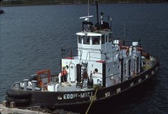 Thumbnail Image for Eddie-Mac I