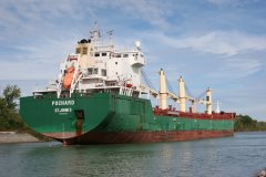 Thumbnail Image for Pochard