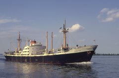 Thumbnail Image for Dimitra