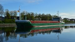 Thumbnail Image for Pernille