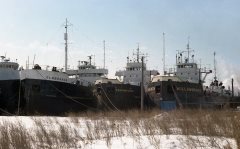 Thumbnail Image for Elmbranch