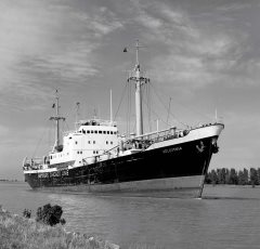 Thumbnail Image for Volumnia