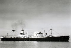 Thumbnail Image for Dunelmia