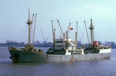 Thumbnail Image for Dimitra