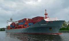 Thumbnail Image for Annalisa P