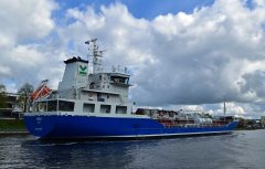 Thumbnail Image for Donia