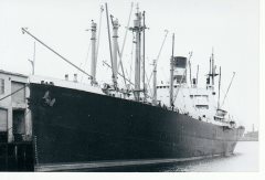 Thumbnail Image for Excelsior