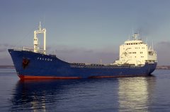 Thumbnail Image for Falcon