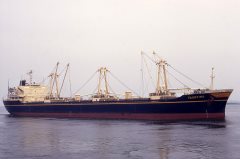 Thumbnail Image for Faustina