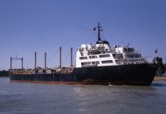 Thumbnail Image for Federal Tyne