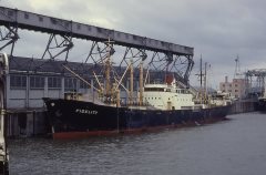 Thumbnail Image for Fidelity