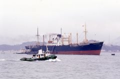 Thumbnail Image for Fortune Enterprise