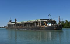 Thumbnail Image for Alouette Spirit