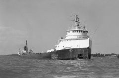 Thumbnail Image for Mantadoc