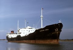 Thumbnail Image for Northern Shell