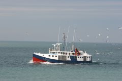 Thumbnail Image for L & R