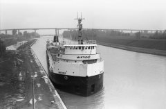 Thumbnail Image for Mantadoc