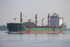 Thumbnail Image for Barnacle