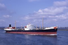 Thumbnail Image for Geodor