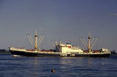 Thumbnail Image for Gina