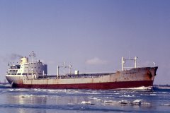 Thumbnail Image for Gunda Brovig