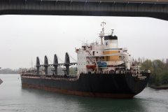 Thumbnail Image for Elpida