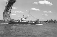 Thumbnail Image for Roger R. Simons