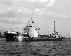 Thumbnail Image for Willowbranch