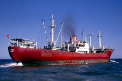 Thumbnail Image for Heering Kirse