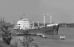 Thumbnail Image for Maplebranch