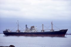 Thumbnail Image for Jalazad