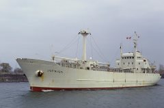 Thumbnail Image for Jofrigo