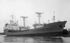 Thumbnail Image for Joruna