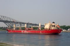 Thumbnail Image for Orsula