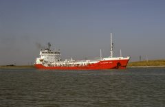 Thumbnail Image for Le Cedre No. 1