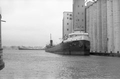 Thumbnail Image for Martha Hindman