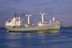 Thumbnail Image for Joselin