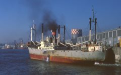 Thumbnail Image for Joseph H.