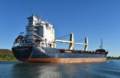 Thumbnail Image for Marcellin A. Desgagnés