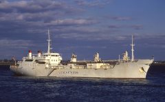 Thumbnail Image for Lorena Horn