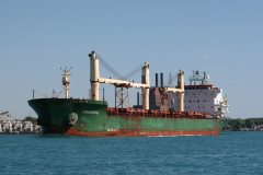 Thumbnail Image for Greenwing