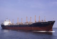 Thumbnail Image for Mare Placido