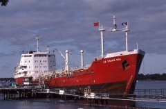 Thumbnail Image for Le Chene No. 1