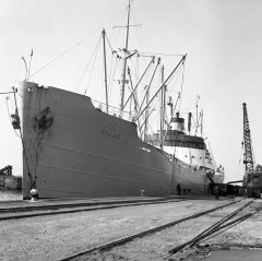 Thumbnail Image for Vilja