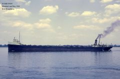 Thumbnail Image for Everetton