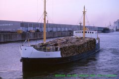 Thumbnail Image for Eva