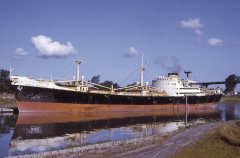 Thumbnail Image for Marika Venizelos