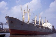 Thumbnail Image for Marita