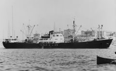 Thumbnail Image for Moschanty